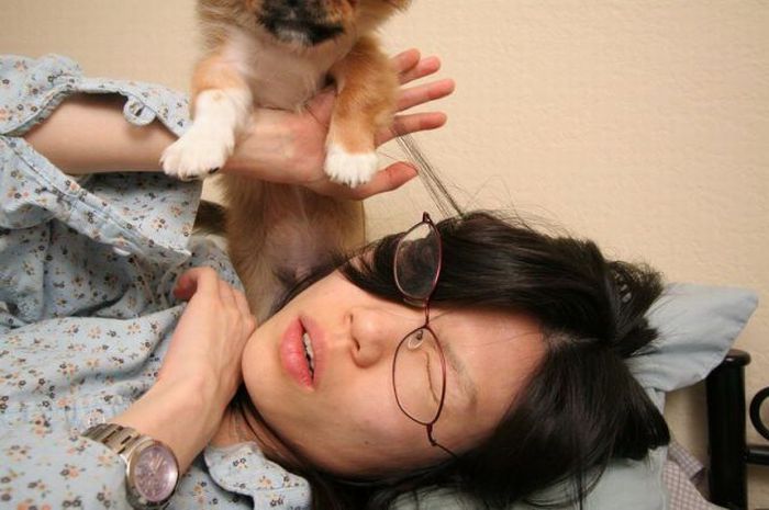 Puppy Wants to Play (11 pics)