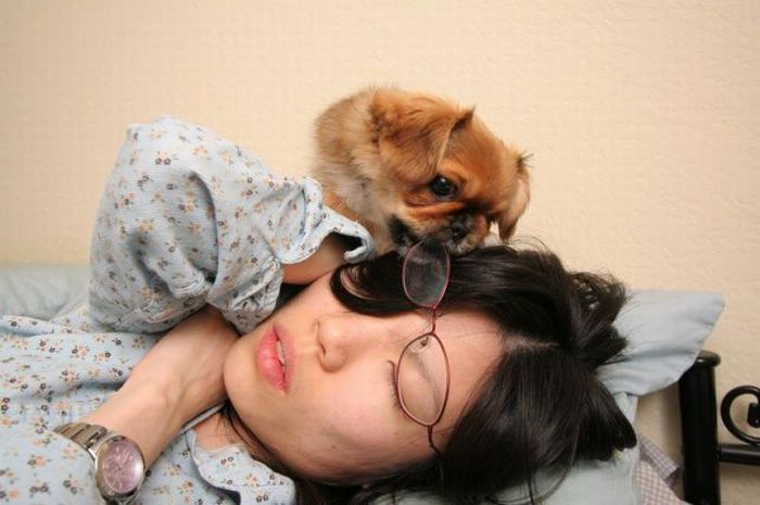 Puppy Wants to Play (11 pics)