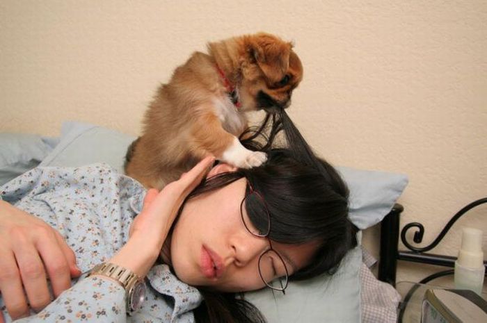 Puppy Wants to Play (11 pics)