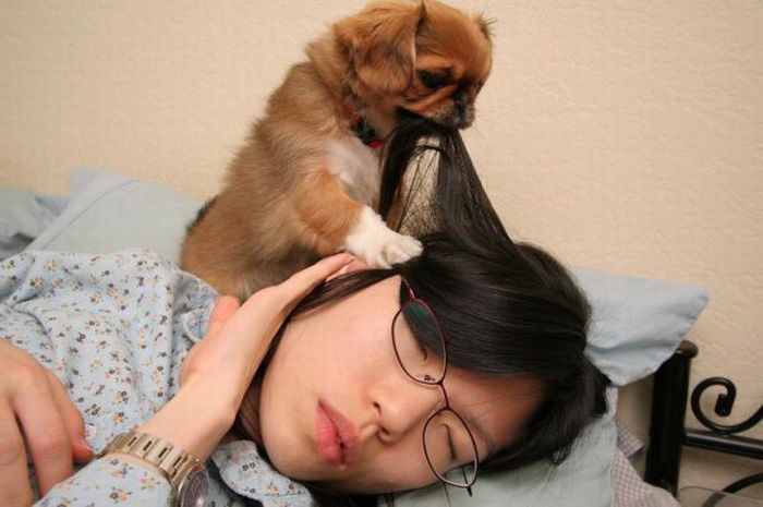 Puppy Wants to Play (11 pics)