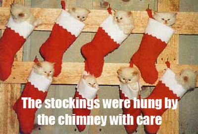 The Night Before Christmas, As Told By Cats (25 pics)