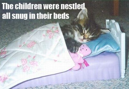 The Night Before Christmas, As Told By Cats (25 pics)