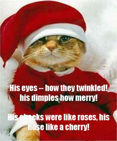 The Night Before Christmas, As Told By Cats (25 pics)