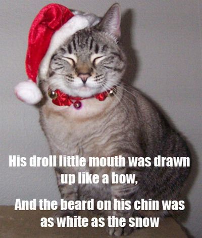 The Night Before Christmas, As Told By Cats (25 pics)