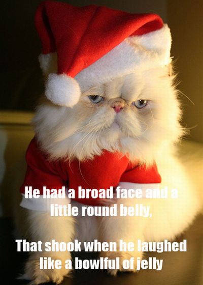 The Night Before Christmas, As Told By Cats (25 pics)