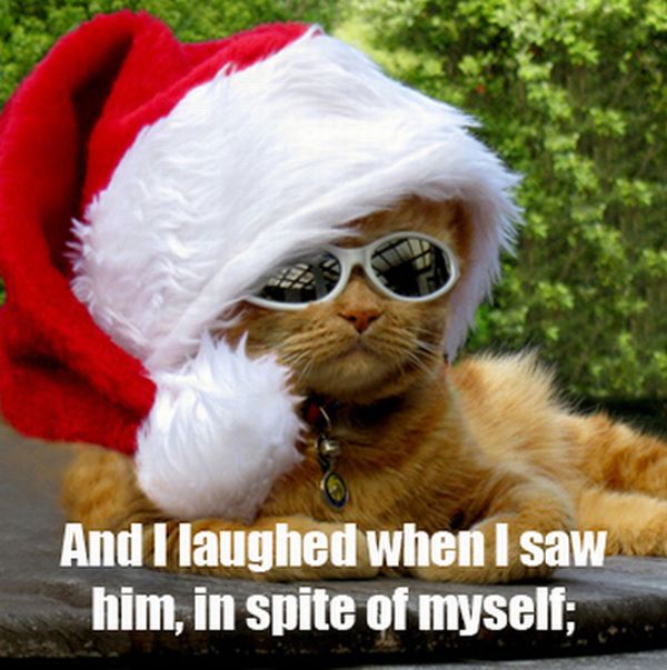 The Night Before Christmas, As Told By Cats (25 pics)