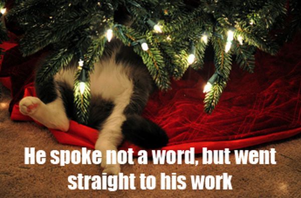 The Night Before Christmas, As Told By Cats (25 pics)