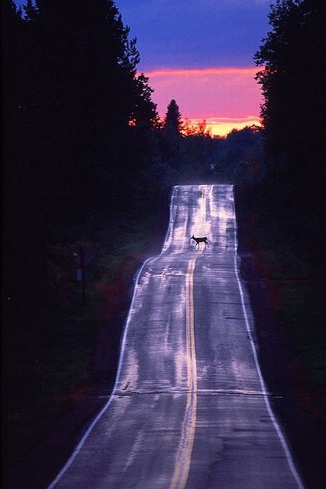 Beautiful Roads (99 pics)