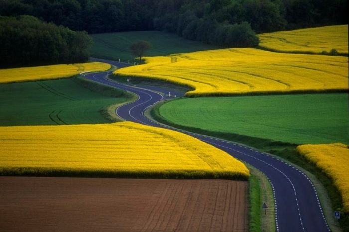 Beautiful Roads (99 pics)