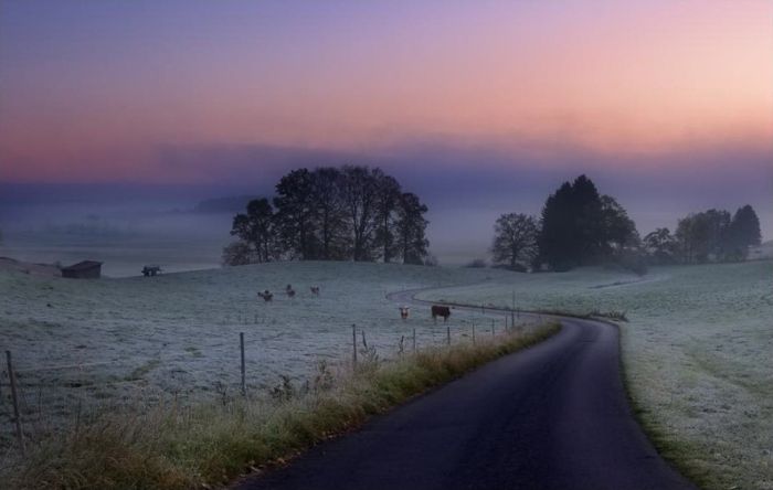 Beautiful Roads (99 pics)