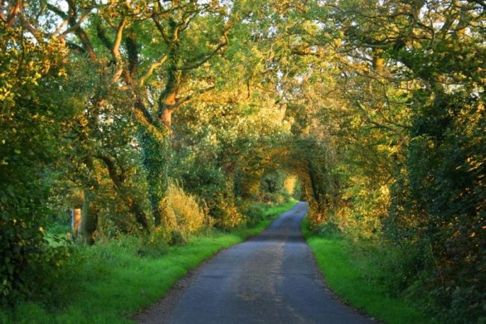 Beautiful Roads (99 pics)