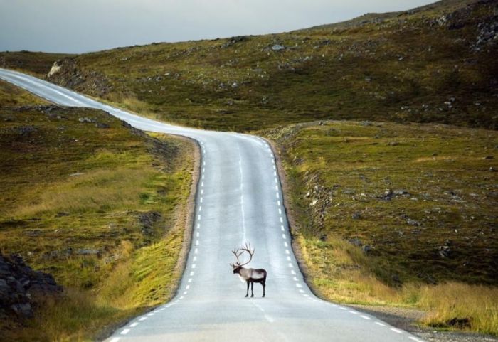 Beautiful Roads (99 pics)