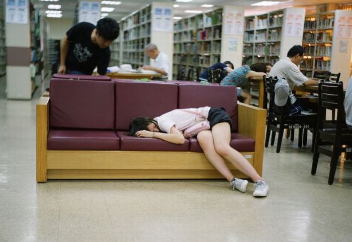 Sleeping in the Library (45 pics)