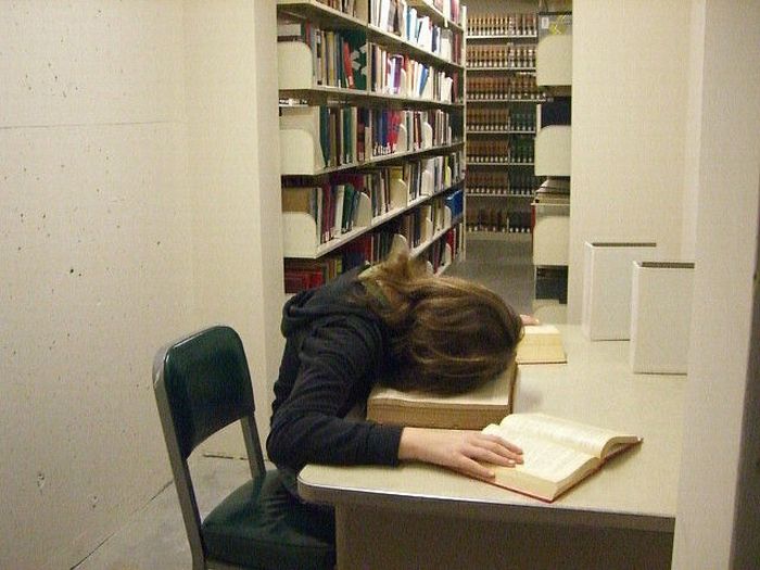Sleeping in the Library (45 pics)