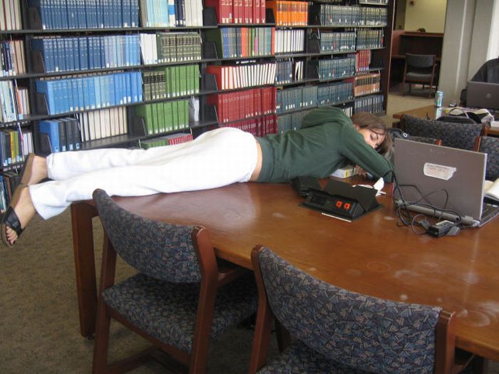 Sleeping in the Library (45 pics)