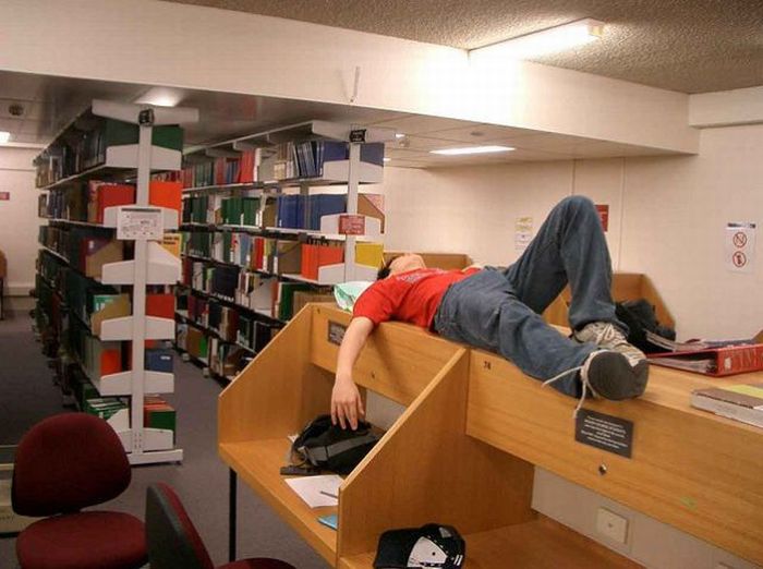 Sleeping in the Library (45 pics)