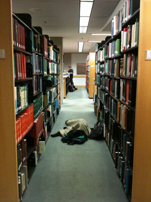 Sleeping in the Library (45 pics)