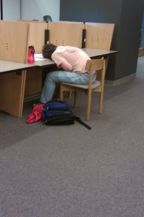 Sleeping in the Library (45 pics)