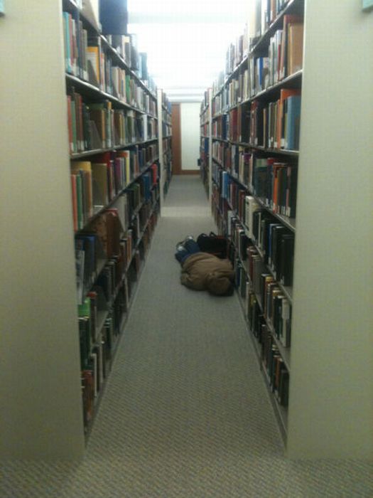 Sleeping in the Library (45 pics)