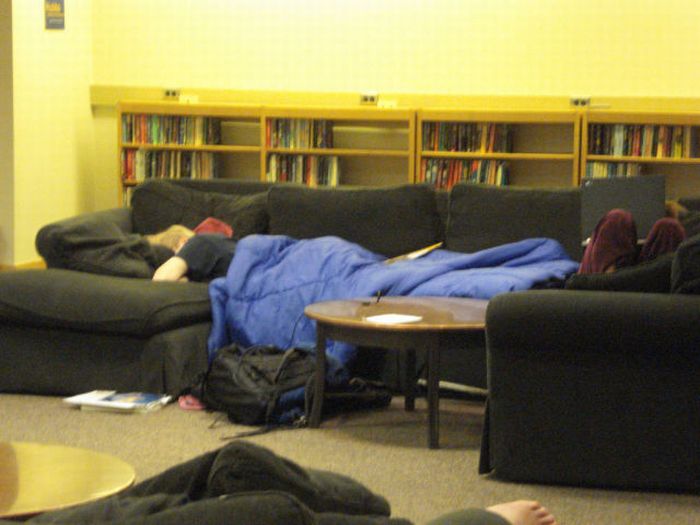 Sleeping in the Library (45 pics)