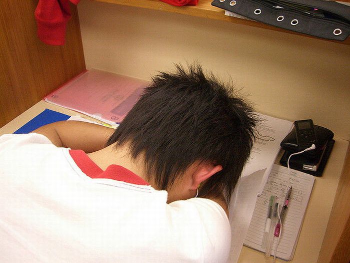 Sleeping in the Library (45 pics)