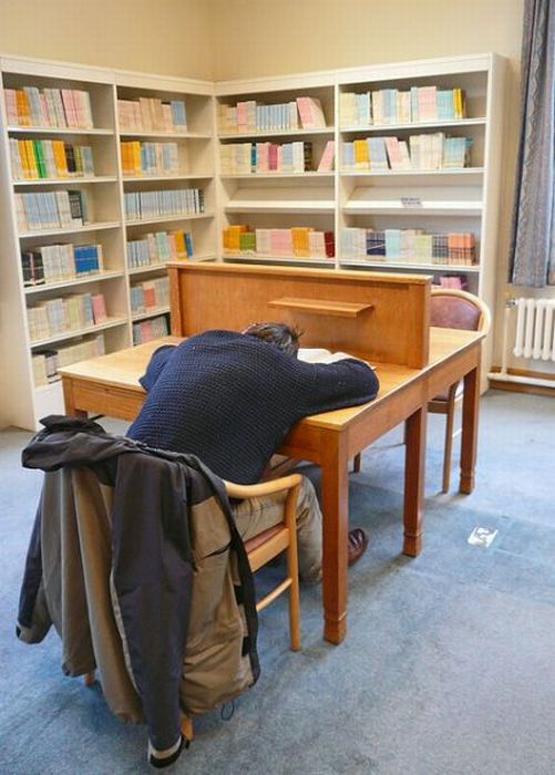 Sleeping in the Library (45 pics)