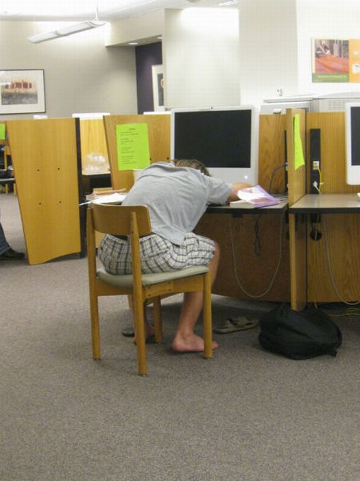 Sleeping in the Library (45 pics)