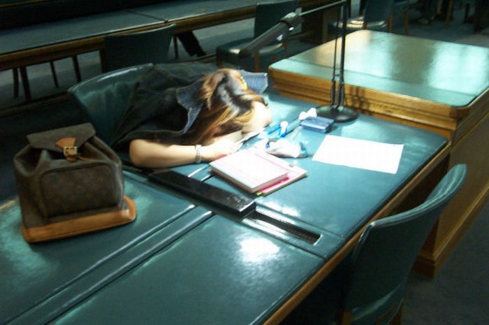 Sleeping in the Library (45 pics)