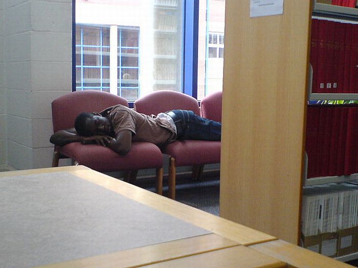 Sleeping in the Library (45 pics)