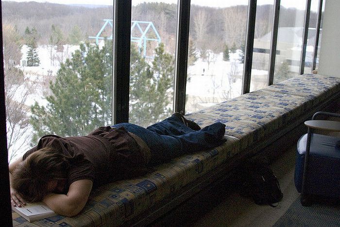 Sleeping in the Library (45 pics)