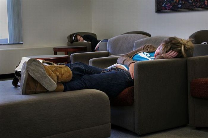 Sleeping in the Library (45 pics)