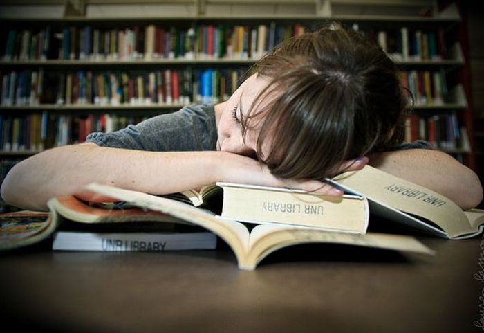 Sleeping in the Library (45 pics)