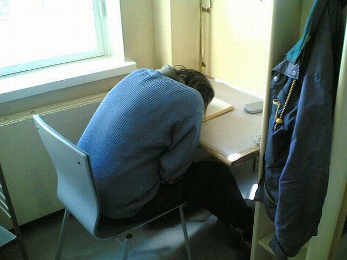 Sleeping in the Library (45 pics)