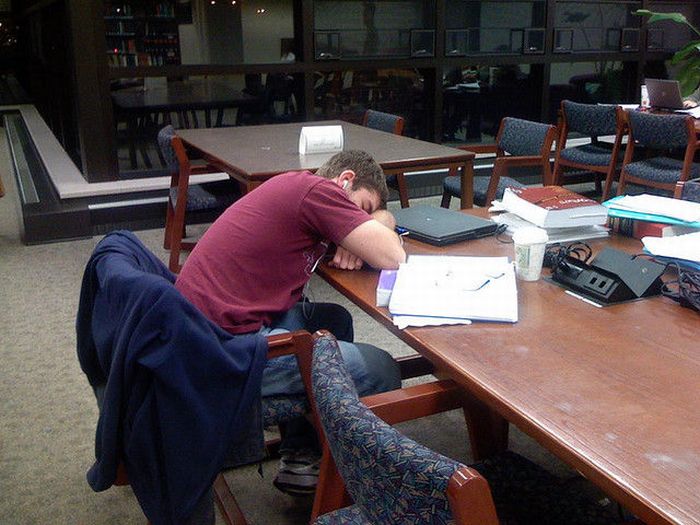 Sleeping in the Library (45 pics)