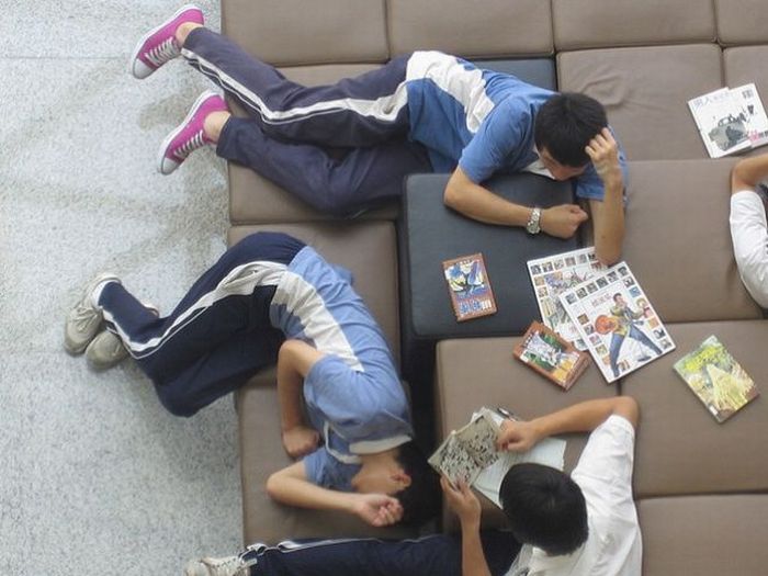 Sleeping in the Library (45 pics)