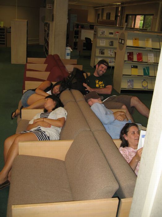 Sleeping in the Library (45 pics)