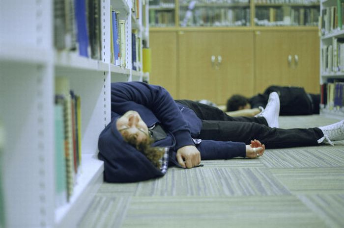 Sleeping in the Library (45 pics)