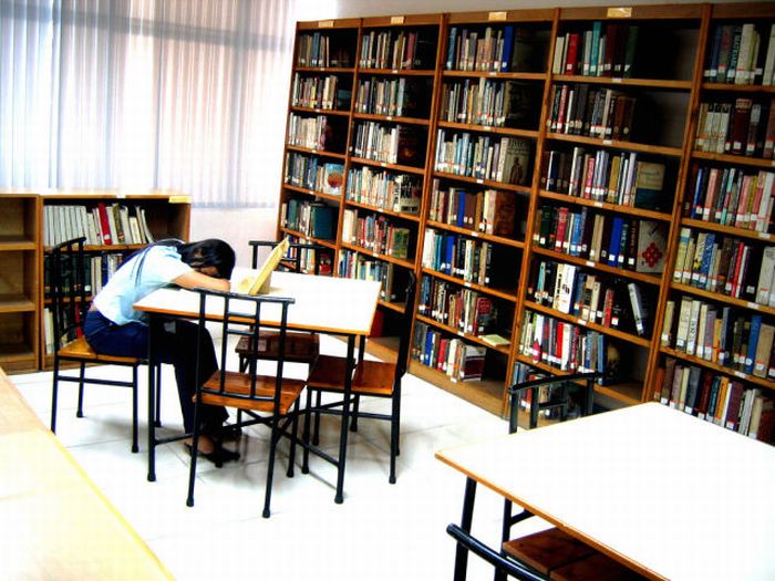 Sleeping in the Library (45 pics)
