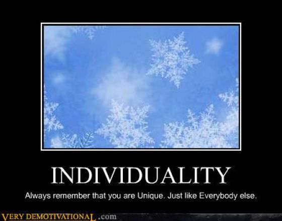 Funny Demotivational Posters (44 pics)