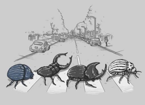 Acid Picdump (100 pics)