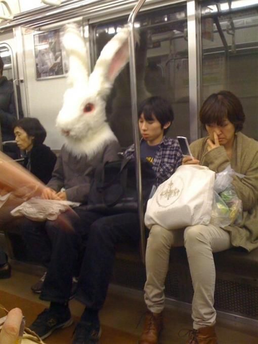 Acid Picdump (100 pics)