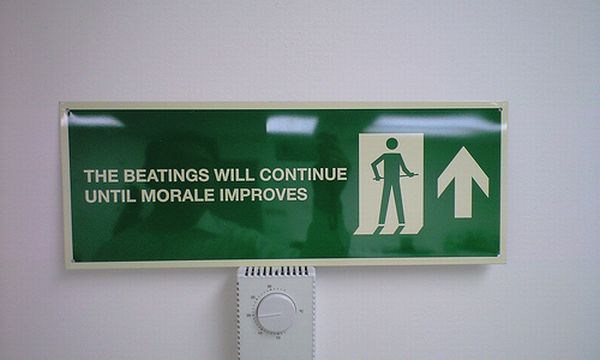 Acid Picdump (100 pics)