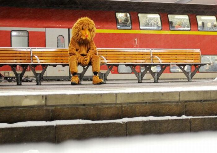 Acid Picdump (100 pics)