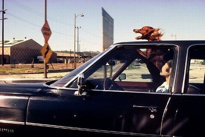 Acid Picdump (100 pics)