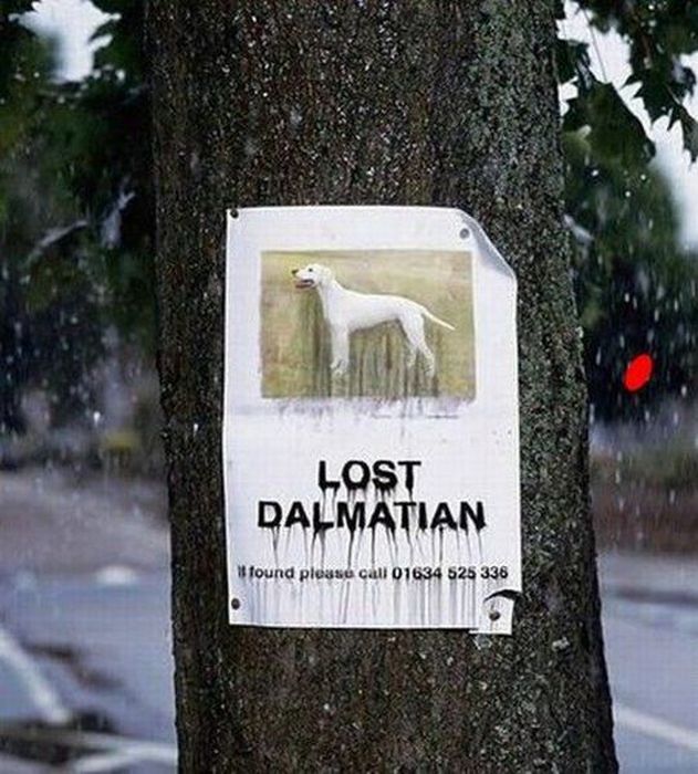 Acid Picdump (100 pics)
