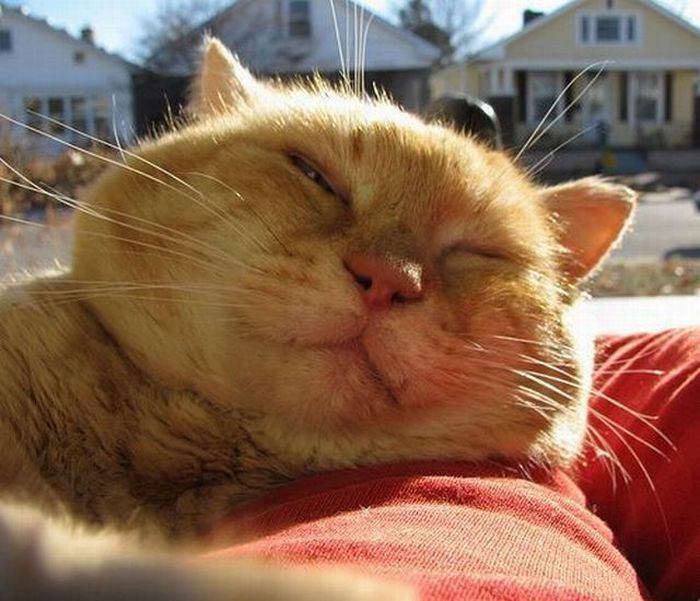 Acid Picdump (100 pics)