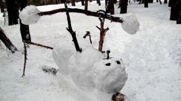 Hilarious Snowmen (40 pics)