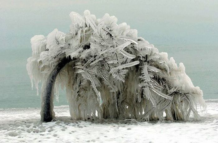 The Beautiful Aftermath of Ice Storms (25 pics)