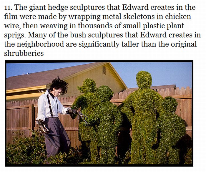 12 Things You Probably Didn’t Know About The Movie "Edward Scissorhands" (12 pics)