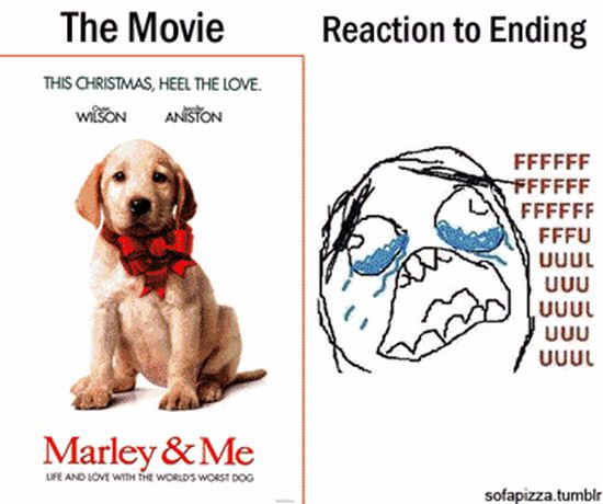 The Movie and Reaction to the Ending (20 pics)